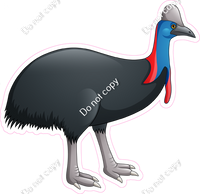 Northern Cassowary