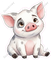 Island Pig