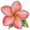 Island Flower