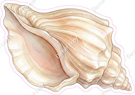 Island Sea Shell