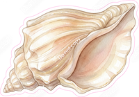 Island Sea Shell