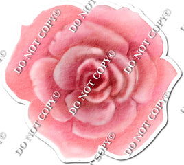 Single Pink Rose w/ Variants