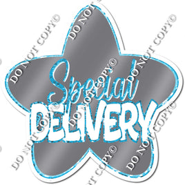 Baby Blue / Grey Star - Special Delivery