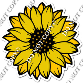 Yellow Sunflower