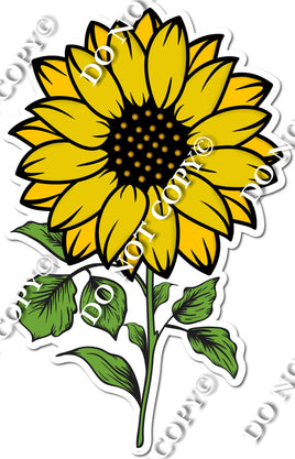 Yellow Sunflower With Stem