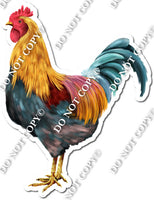 Multi Color Chicken w/ Variants