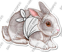 Bunny with Bandage Wrap w/ Variants