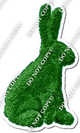 Gardening - Rabbit Bush