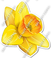 Gardening - Yellow Daffodil 1