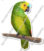 Green Parrot on Limb w/ Variants