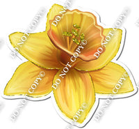 Gardening - Yellow Daffodil 2