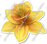 Gardening - Yellow Daffodil 2