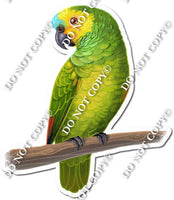 Green Parrot on Limb w/ Variants