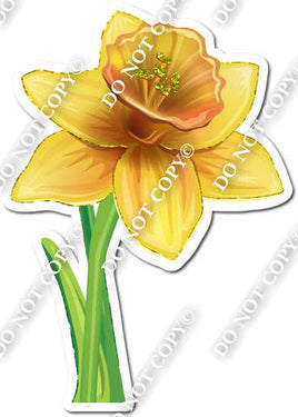 Gardening - Daffodil with Stem