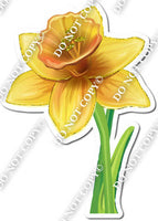 Gardening - Daffodil with Stem