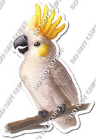 White Parrot on Limb w/ Variants