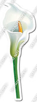 Gardening - White Calla Lily 1 w/ Variants