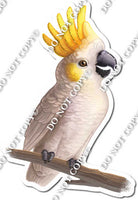 White Parrot on Limb w/ Variants