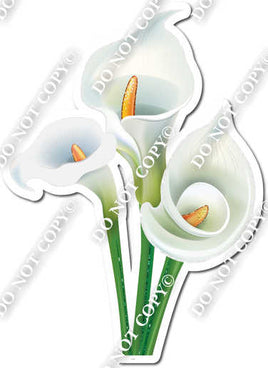 Gardening - 3 White Calla Lilies