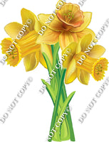 Gardening - Bundle of Daffodils