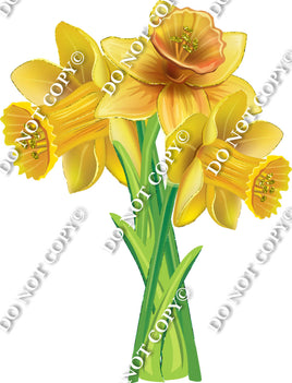 Gardening - Bundle of Daffodils