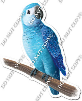 Blue Parrot on Limb w/ Variants