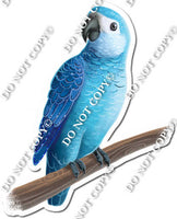 Blue Parrot on Limb w/ Variants