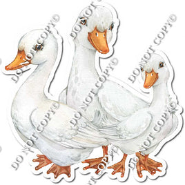 3 Geese w/ Variants