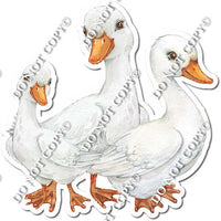 3 Geese w/ Variants