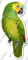 Green Parrot w/ Variants