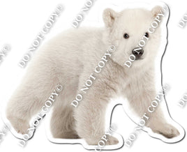 Polar Bear 1 w/ Variants