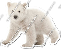 Polar Bear 1