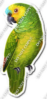 Green Parrot w/ Variants