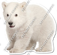 Polar Bear 2 w/ Variants