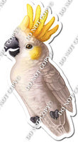 White Parrot w/ Variants