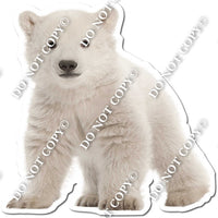 Polar Bear 4 w/ Variants