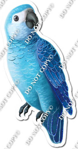 Blue Parrot w/ Variants