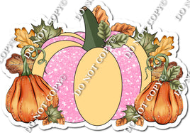 Baby Pink & Champagne Pumpkin Patch w/ Variants