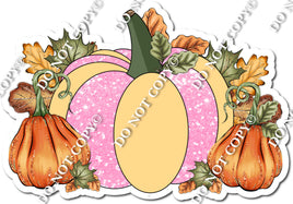 Baby Pink & Champagne Pumpkin Patch