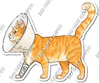 Cat with Cone Collar w/ Variants