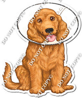 Dog with Cone Collar w/ Variants