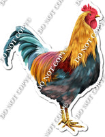 Multi Color Chicken w/ Variants