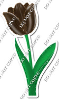 Tulip - Chocolate -