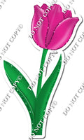 Tulip - Hot Pink - w/ Variants