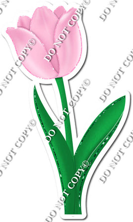 Tulip - Baby Pink - w/ Variants