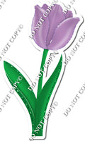 Tulip - Lavender - w/ Variants