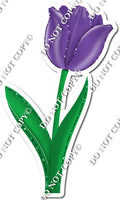 Tulip - Purple - w/ Variants