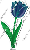 Tulip - Ombre / Blue, Teal - w/ Variants