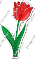 Tulip - Red - w/ Variants