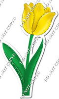 Tulip - Yellow - w/ Variants